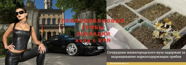 дурь Абаза