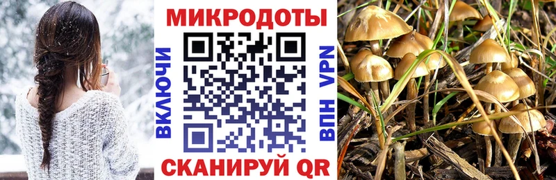 Галлюциногенные грибы Psilocybine cubensis  Узловая 
