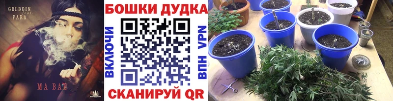Канабис ГИДРОПОН Узловая